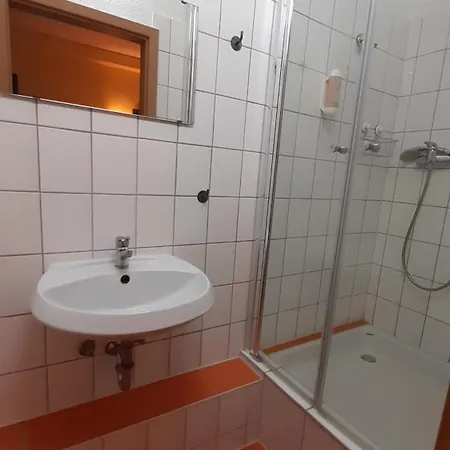 Gaestehaus Zu Herrenwiesen 海德堡