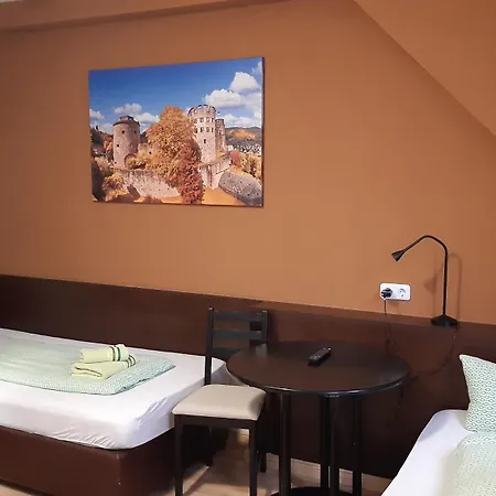 Gaestehaus Zu Herrenwiesen * 海德堡